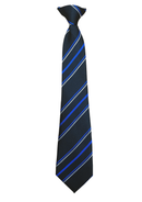 Alston Moor Federation Tie