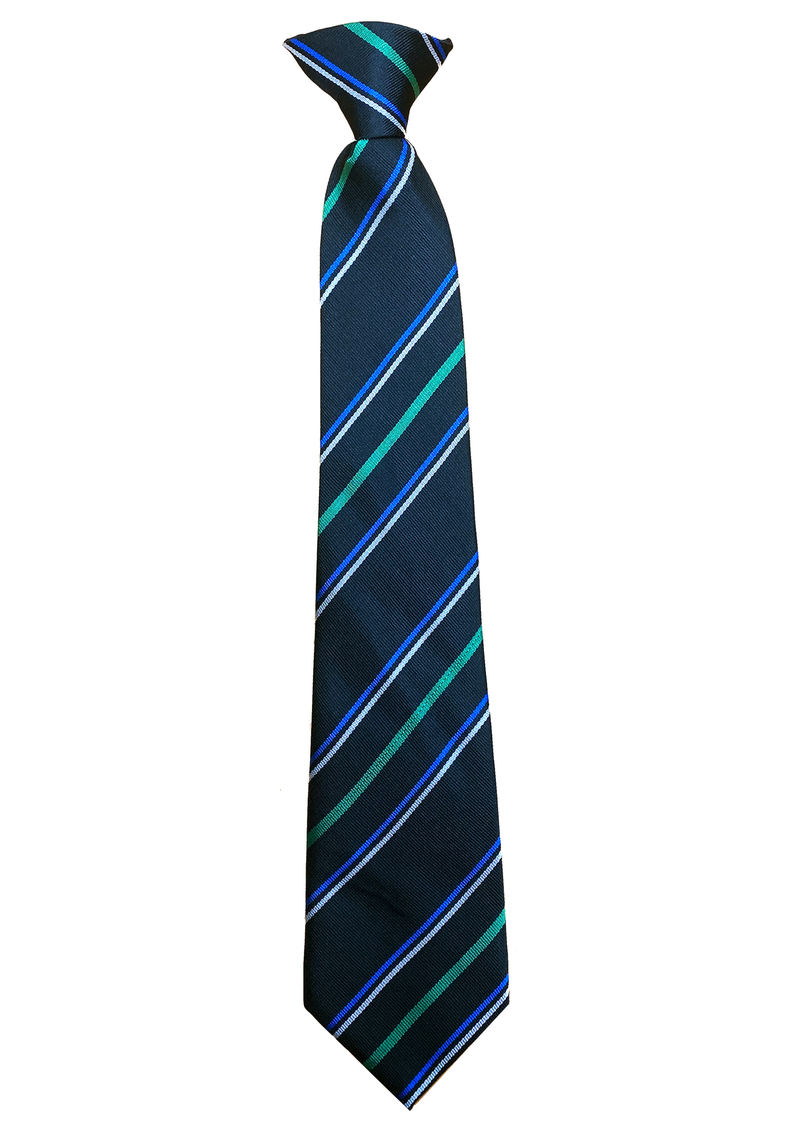Alston Moor Federation Tie