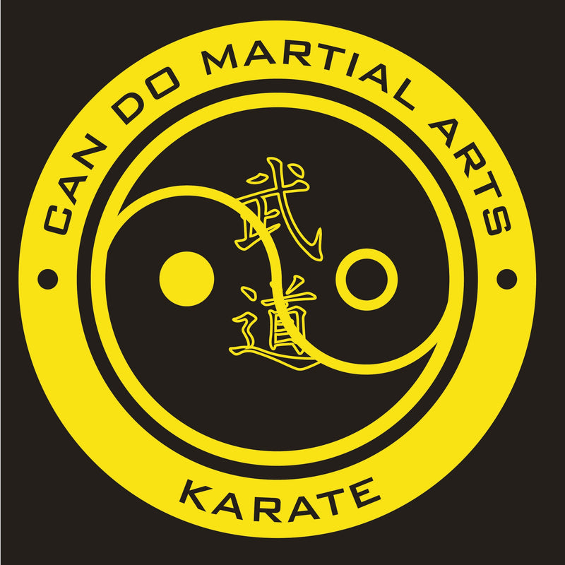 Kids Can Do Martial Arts T-Shirt