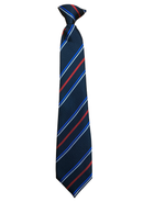 Alston Moor Federation Tie