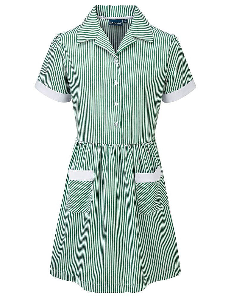 Kinsale Button Front Corded Stripe Dress