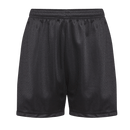 Mesh Sports Shorts