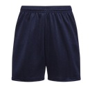 Mesh Sports Shorts